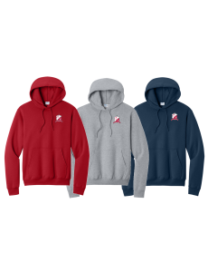 Youth Hooded Sweatshirt
